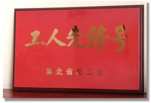 股份公司磷銨分廠磷酸三班喜獲湖北省“工人先鋒號(hào)”榮譽(yù)稱號(hào)(圖1)